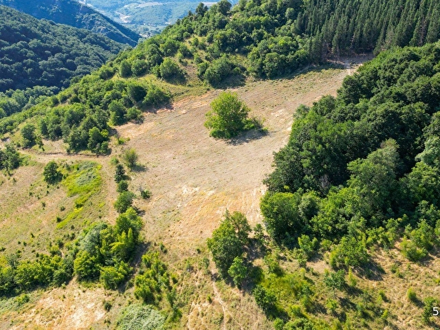 KOCAELİ KARAMÜRSEL İNEBEYLİ 17.512 M2 SATILIK TARLA - Görsel 3