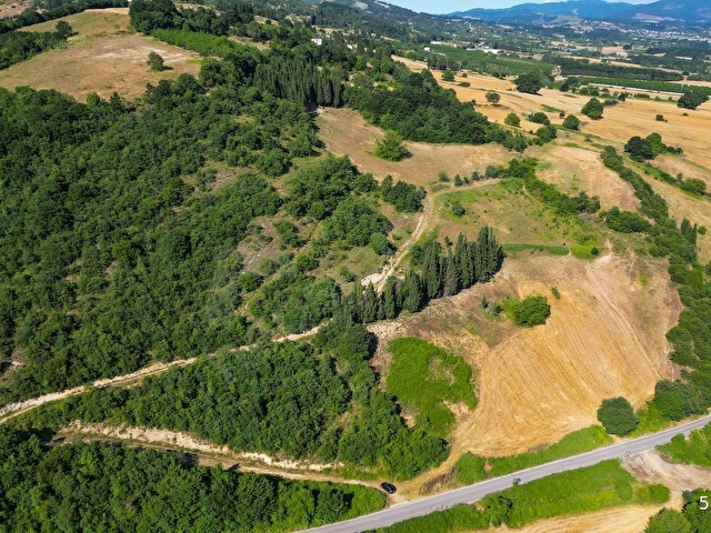 KOCAELİ KARAMÜRSEL İNEBEYLİ 17.512 M2 SATILIK TARLA - Görsel 17