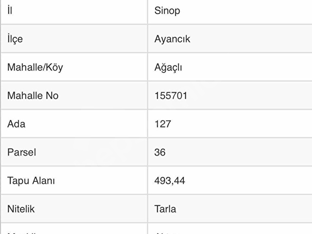 SİNOP AYANCIK AĞAÇLI KÖYÜ HARZANA MAHDE DENİZ MANZARALI TARLA.. - Görsel 2