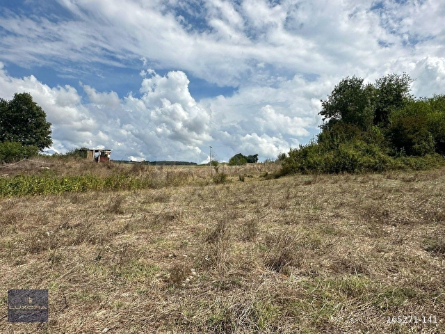LUXORADAN DERİNCE ÇAVUŞLUDA SATILIK 2.783M² TARLA - Görsel 11