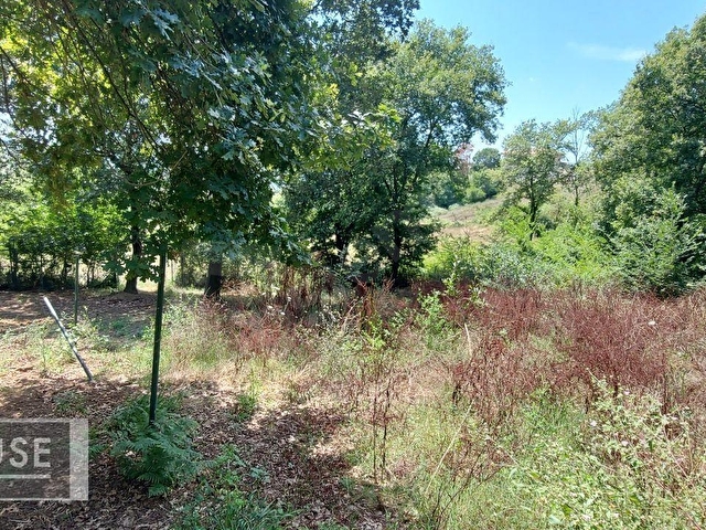 Şile Dr. House dan -Balibey Mah. - 545 m2 Arsa - 0.40 İmar. - Görsel 15
