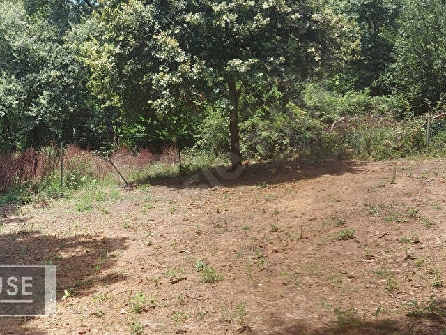 Şile Dr. House dan -Balibey Mah. - 545 m2 Arsa - 0.40 İmar. - Görsel 29