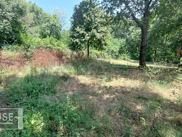 Şile Dr. House dan -Balibey Mah. - 545 m2 Arsa - 0.40 İmar. - Görsel 26