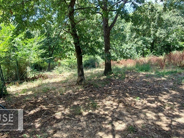 Şile Dr. House dan -Balibey Mah. - 545 m2 Arsa - 0.40 İmar. - Görsel 11