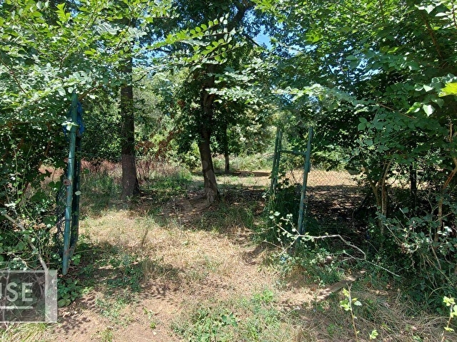 Şile Dr. House dan -Balibey Mah. - 545 m2 Arsa - 0.40 İmar. - Görsel 22