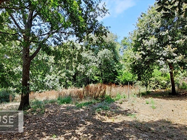 Şile Dr. House dan -Balibey Mah. - 545 m2 Arsa - 0.40 İmar. - Görsel 13