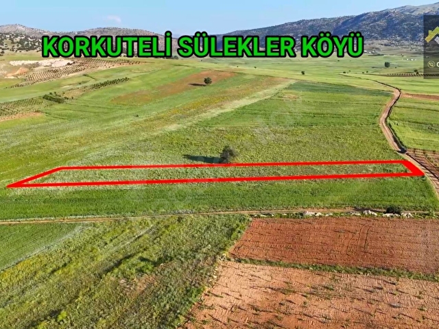 KORKUTELİ SÜLEKLER DE SATILIK 2.277M2 TARLA RESMİ YOLU VAR - Görsel 8