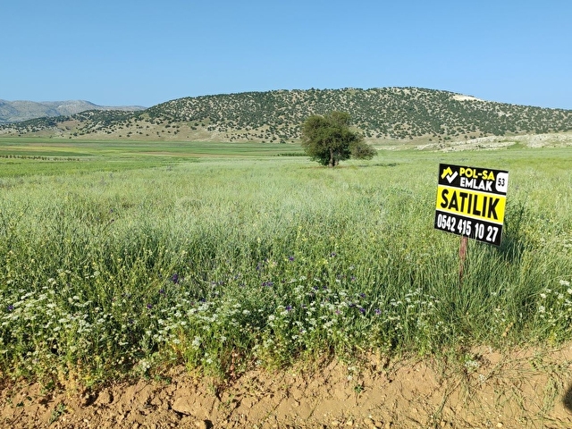 KORKUTELİ SÜLEKLER DE SATILIK 2.277M2 TARLA RESMİ YOLU VAR - Görsel 16