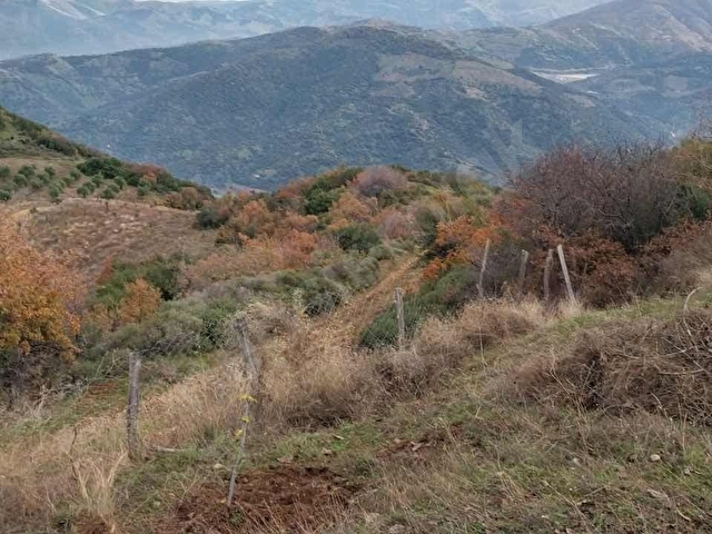 PEK EMLAKTAN TİRE OSMANCIK TA 1650 m2 SATILIK CEVİZ BAHÇESİ - Görsel 14