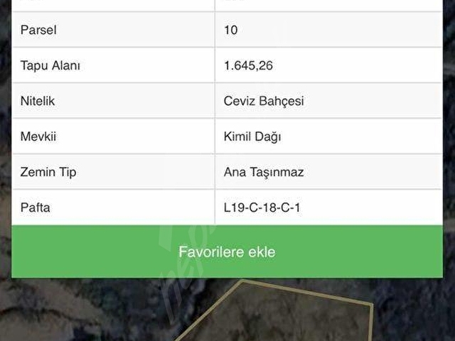 PEK EMLAKTAN TİRE OSMANCIK TA 1650 m2 SATILIK CEVİZ BAHÇESİ - Görsel 2