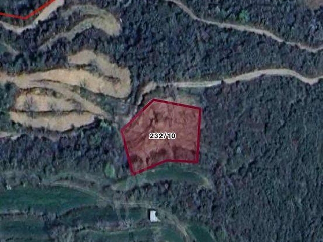 PEK EMLAKTAN TİRE OSMANCIK TA 1650 m2 SATILIK CEVİZ BAHÇESİ - Görsel 5