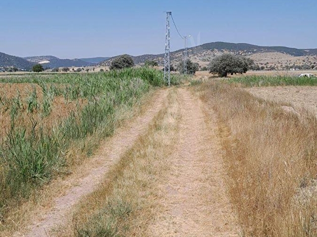 ARAÇ TAKASLI! MERAM SAĞLIK TA 2482 M2 RESMİ YOL CEPHE TARLA, ELEKTRİK YANINDA ANTALYA YOLUNA 300 MT - Görsel 19