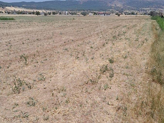 ARAÇ TAKASLI! MERAM SAĞLIK TA 2482 M2 RESMİ YOL CEPHE TARLA, ELEKTRİK YANINDA ANTALYA YOLUNA 300 MT - Görsel 10
