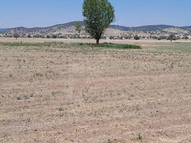 ARAÇ TAKASLI! MERAM SAĞLIK TA 2482 M2 RESMİ YOL CEPHE TARLA, ELEKTRİK YANINDA ANTALYA YOLUNA 300 MT - Görsel 11