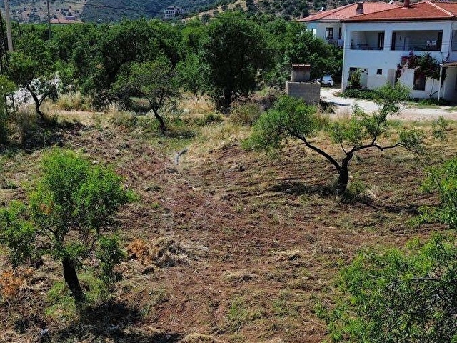 Datça Palamutbükünde Denize 400m Plan İçinde Parsel - Görsel 10