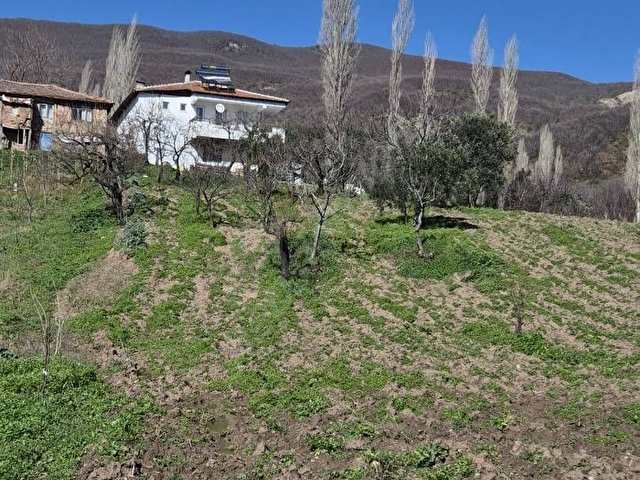 GEMLİK HAMİDİYE KÖYÜNDE İKİ KATLI KAGİR EVİ OLAN SATILIK 2.200 M2 BAHÇE - Görsel 14
