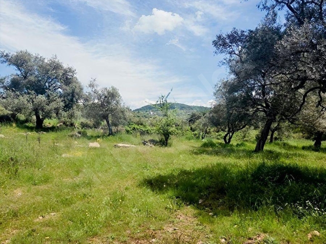 MUĞLA MİLAS ÇİFTLİK MAHALLESİNDE SATILIK 1549 M2 TARLA - Görsel 6