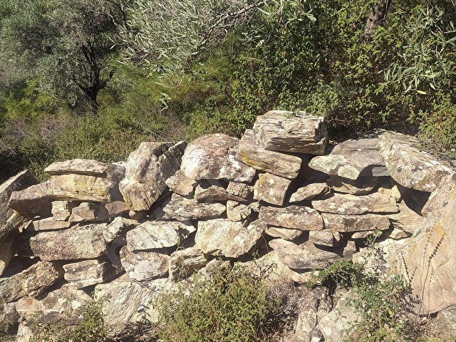 Milas Pınarcık ta 9.598 m2 Satılık Zeytinlik - Görsel 12
