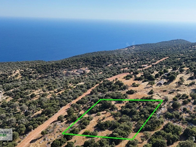 KAŞ SARIBELENDE MEİS VE YARIMADA MANZARALI ARAZİ 1940 M2 - Görsel 21