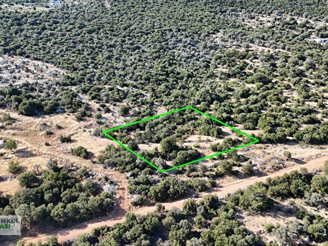 KAŞ SARIBELENDE MEİS VE YARIMADA MANZARALI ARAZİ 1940 M2 - Görsel 19