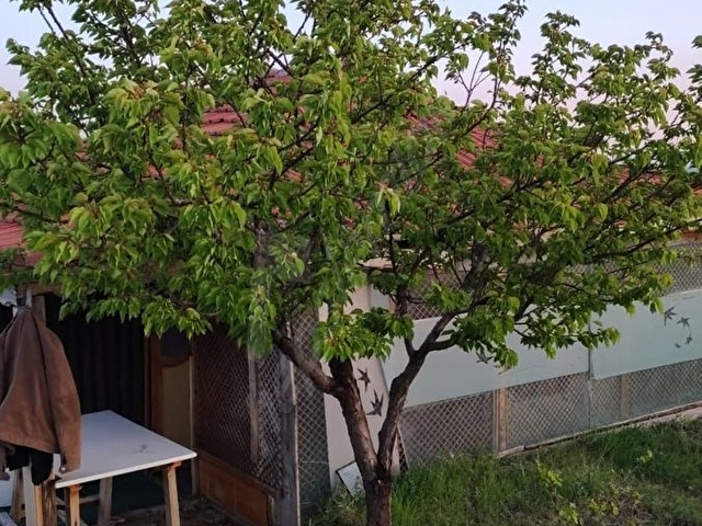 SAHİBİNDEN TEK TAPU GÖLBAŞININ EN GÜZEL MANZARALI YERİ - Görsel 13