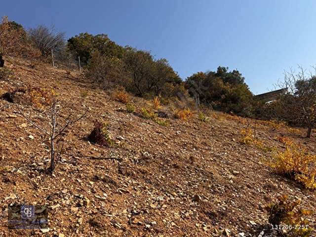 CBDEN DERELİ GÜZLEK MEVKİNDE TEK TAPU (2.463m2) SATILIK BAHÇE - Görsel 10