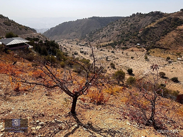 CBDEN DERELİ GÜZLEK MEVKİNDE TEK TAPU (2.463m2) SATILIK BAHÇE - Görsel 20
