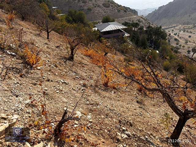 CBDEN DERELİ GÜZLEK MEVKİNDE TEK TAPU (2.463m2) SATILIK BAHÇE - Görsel 23