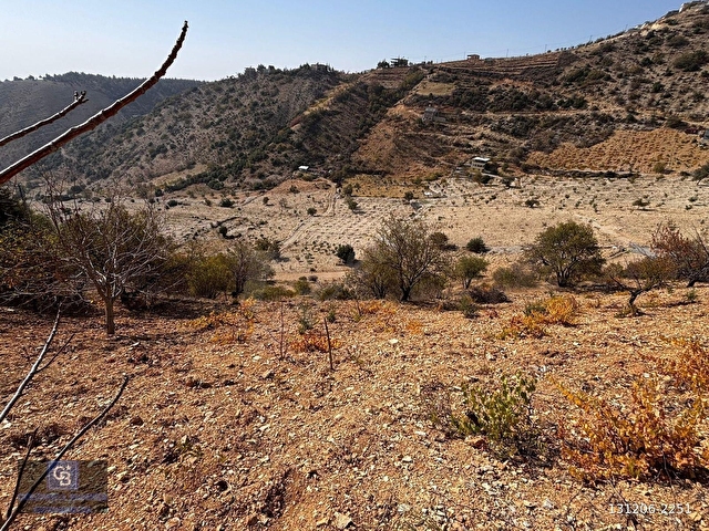 CBDEN DERELİ GÜZLEK MEVKİNDE TEK TAPU (2.463m2) SATILIK BAHÇE - Görsel 18
