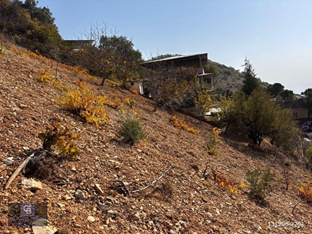 CBDEN DERELİ GÜZLEK MEVKİNDE TEK TAPU (2.463m2) SATILIK BAHÇE - Görsel 17