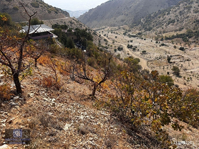 CBDEN DERELİ GÜZLEK MEVKİNDE TEK TAPU (2.463m2) SATILIK BAHÇE - Görsel 2