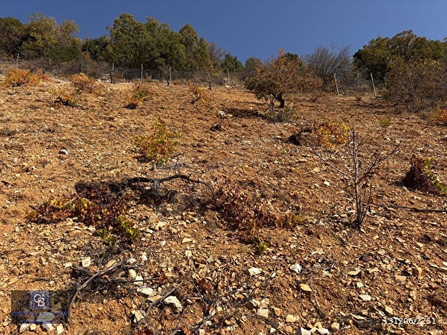 CBDEN DERELİ GÜZLEK MEVKİNDE TEK TAPU (2.463m2) SATILIK BAHÇE - Görsel 16