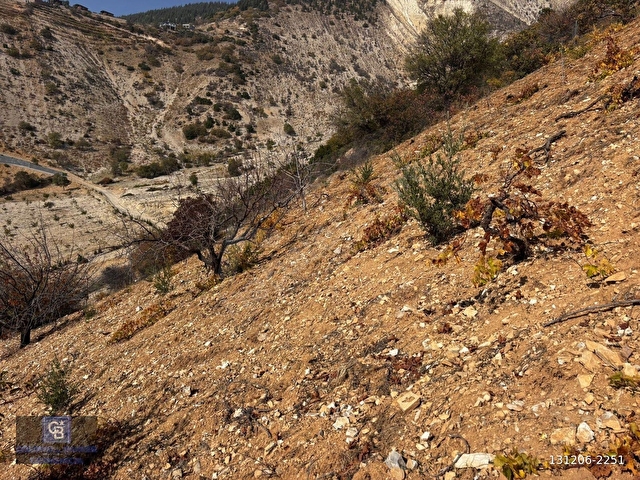 CBDEN DERELİ GÜZLEK MEVKİNDE TEK TAPU (2.463m2) SATILIK BAHÇE - Görsel 15