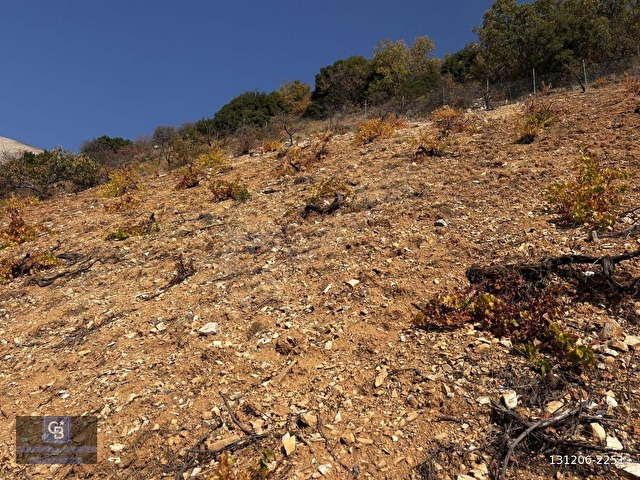 CBDEN DERELİ GÜZLEK MEVKİNDE TEK TAPU (2.463m2) SATILIK BAHÇE - Görsel 11
