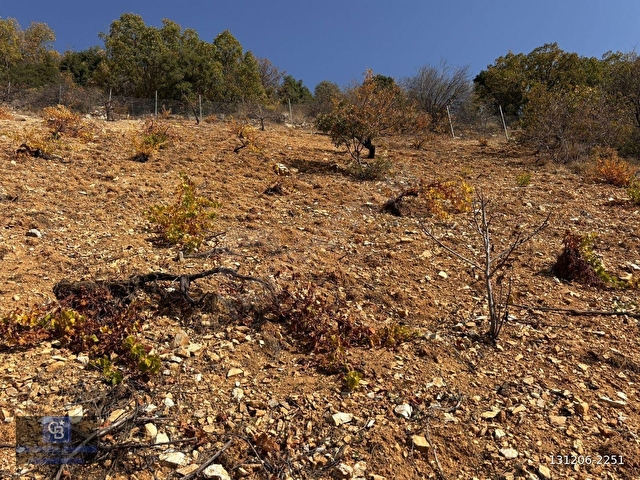 CBDEN DERELİ GÜZLEK MEVKİNDE TEK TAPU (2.463m2) SATILIK BAHÇE - Görsel 9