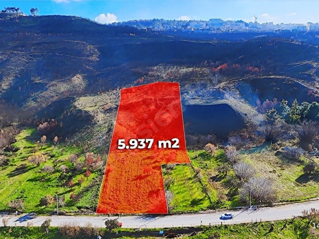 ÇANAKKALE İNTEPE DENİZ KENARI SATILIK ZEYTİNLİK - Görsel 5
