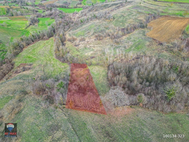 Kandıra Ahmethacılarda Satılık Tarla | OSB ve Otobana Yakın