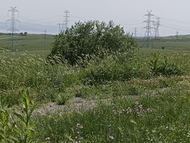 Çanakkale Gelibolu Bolayırda Denize Yakın Villa İmarlı Arsa - Görsel 7