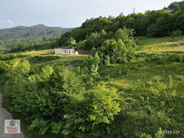 Başiskele Kazandere Köyü SATILIK 1000 M2 ARSA - Görsel 5