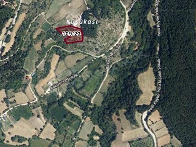 İSTANBOLU FARKIYLA BOLU FASIL KÖYÜNDE ORMAN İÇİNDE TARLA VASIFLI - Görsel 2