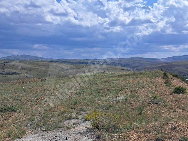 Acil Satılık Seydişehir Yoluna Cephe 1920m2 Tarla - Görsel 18