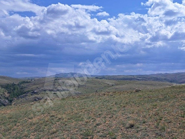 Acil Satılık Seydişehir Yoluna Cephe 1920m2 Tarla - Görsel 15