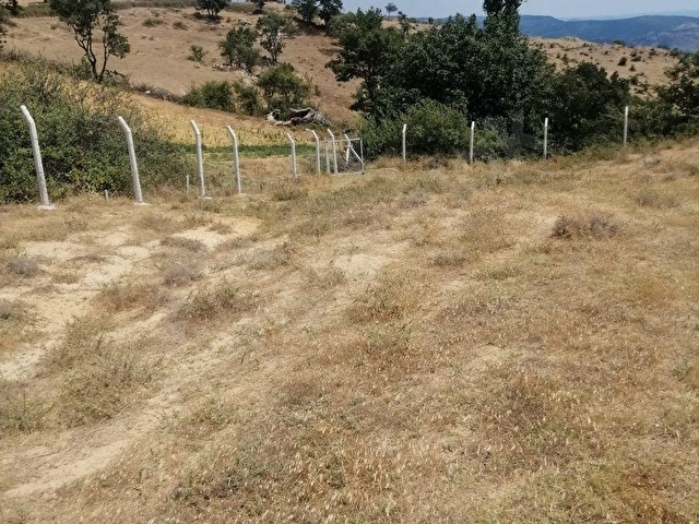 İZMİR BERGAMA DURMUŞLAR ENÇAYIR MEVKİİNDE 6.682 m² SATILIK TARLA