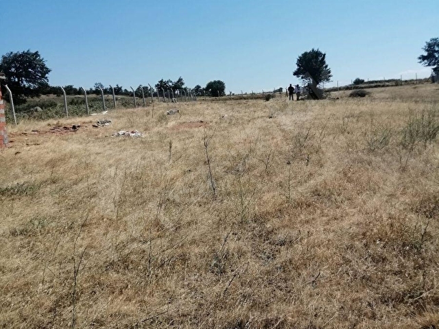 İZMİR BERGAMA DURMUŞLAR ENÇAYIR MEVKİİNDE 6.682 m² SATILIK TARLA - Görsel 5