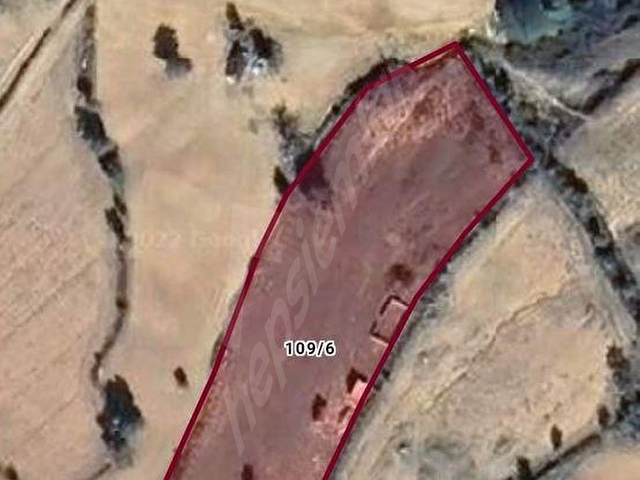 İZMİR BERGAMA DURMUŞLAR ENÇAYIR MEVKİİNDE 6.682 m² SATILIK TARLA - Görsel 14