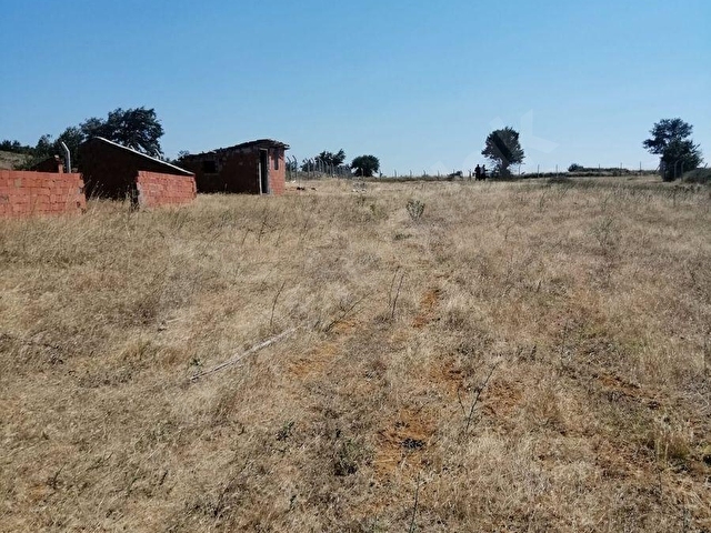İZMİR BERGAMA DURMUŞLAR ENÇAYIR MEVKİİNDE 6.682 m² SATILIK TARLA - Görsel 12