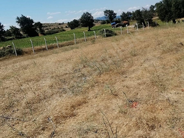 İZMİR BERGAMA DURMUŞLAR ENÇAYIR MEVKİİNDE 6.682 m² SATILIK TARLA - Görsel 7