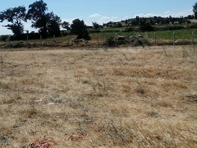 İZMİR BERGAMA DURMUŞLAR ENÇAYIR MEVKİİNDE 6.682 m² SATILIK TARLA - Görsel 9