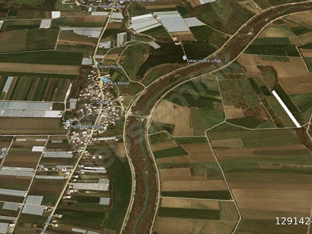 SAHİBİNDEN; MÜSTAKİL TAPU;  500 ADET VERİMLİ NAR AĞACI, YOLU SUYU HAZIR TARLA - Görsel 11