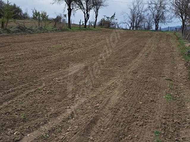 KASTAMONU ARAÇ ÖZBEL KÖYÜNDE ANA CADDE ÜZERİNDE SATILIK BAHÇE - Görsel 13